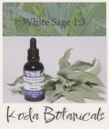 White Sage 1:3 Tincture 50ml